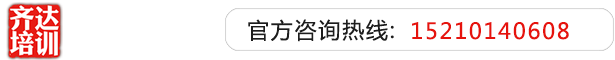 逼穴流水影院齐达艺考文化课-艺术生文化课,艺术类文化课,艺考生文化课logo